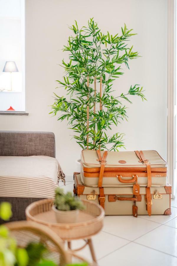 Appartement Camerelle 33